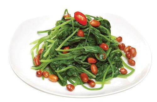 廈門工廠團(tuán)膳配送與婚慶禮儀服務(wù) 欣泰德食堂的一站式解決方案