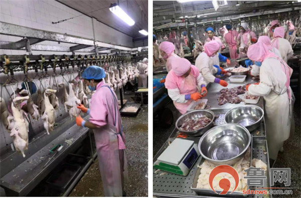 德州禹城市倫鎮(zhèn) 四項強化舉措守護“舌尖上的安全”，餐飲管理成效顯著
